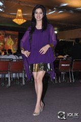 Richa Panai at Na Love Story Modalaindi Audio Launch